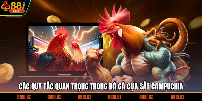 Các quy tắc quan trọng trong đá gà cựa sắt Campuchia