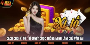 Cách Chơi Xì Tố - Bí Quyết Cược Thông Minh Làm Chủ Ván Bài