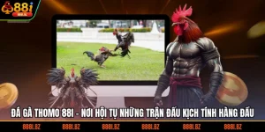 Đá Gà Thomo 88I - Địa Chỉ Quy Tụ Các Trận Đấu Đỉnh Cao