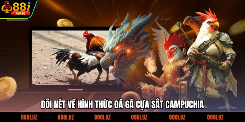 Đôi nét về hình thức đá gà cựa sắt Campuchia
