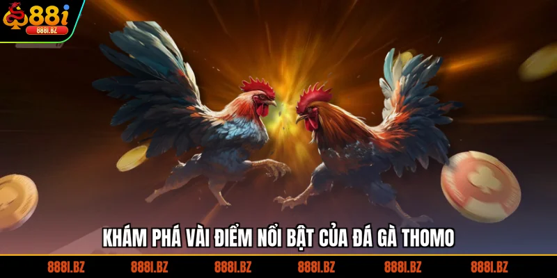 Khám phá vài điểm nổi bật của đá gà Thomo