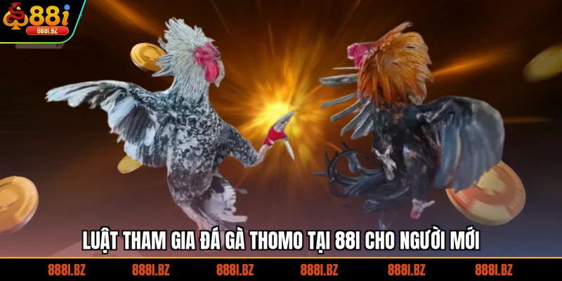 Luật tham gia đá gà Thomo tại 88I cho người mới