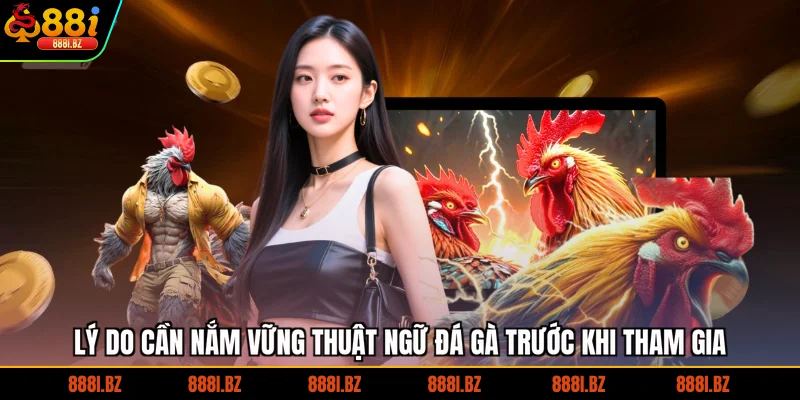 Lý do cần nắm vững thuật ngữ đá gà trước khi tham gia