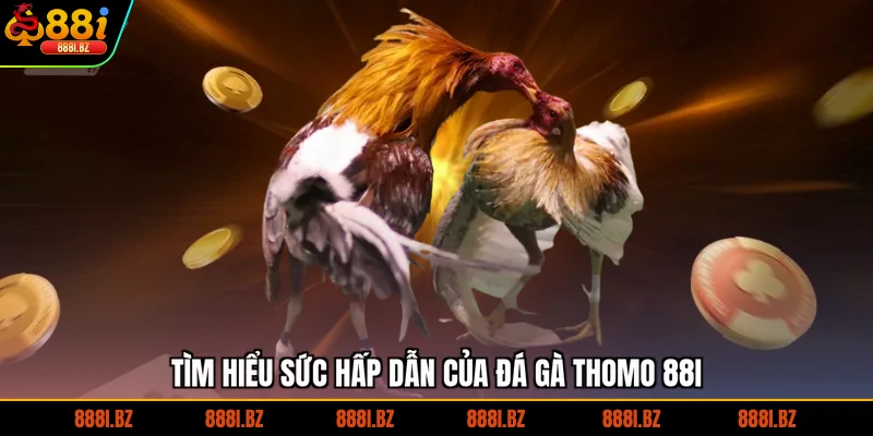 Tìm hiểu sức hấp dẫn của đá gà Thomo 88I